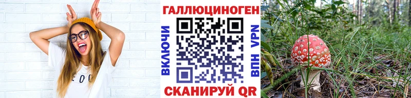 Галлюциногенные грибы Magic Shrooms  kraken ссылки  Олонец 